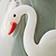 Swan