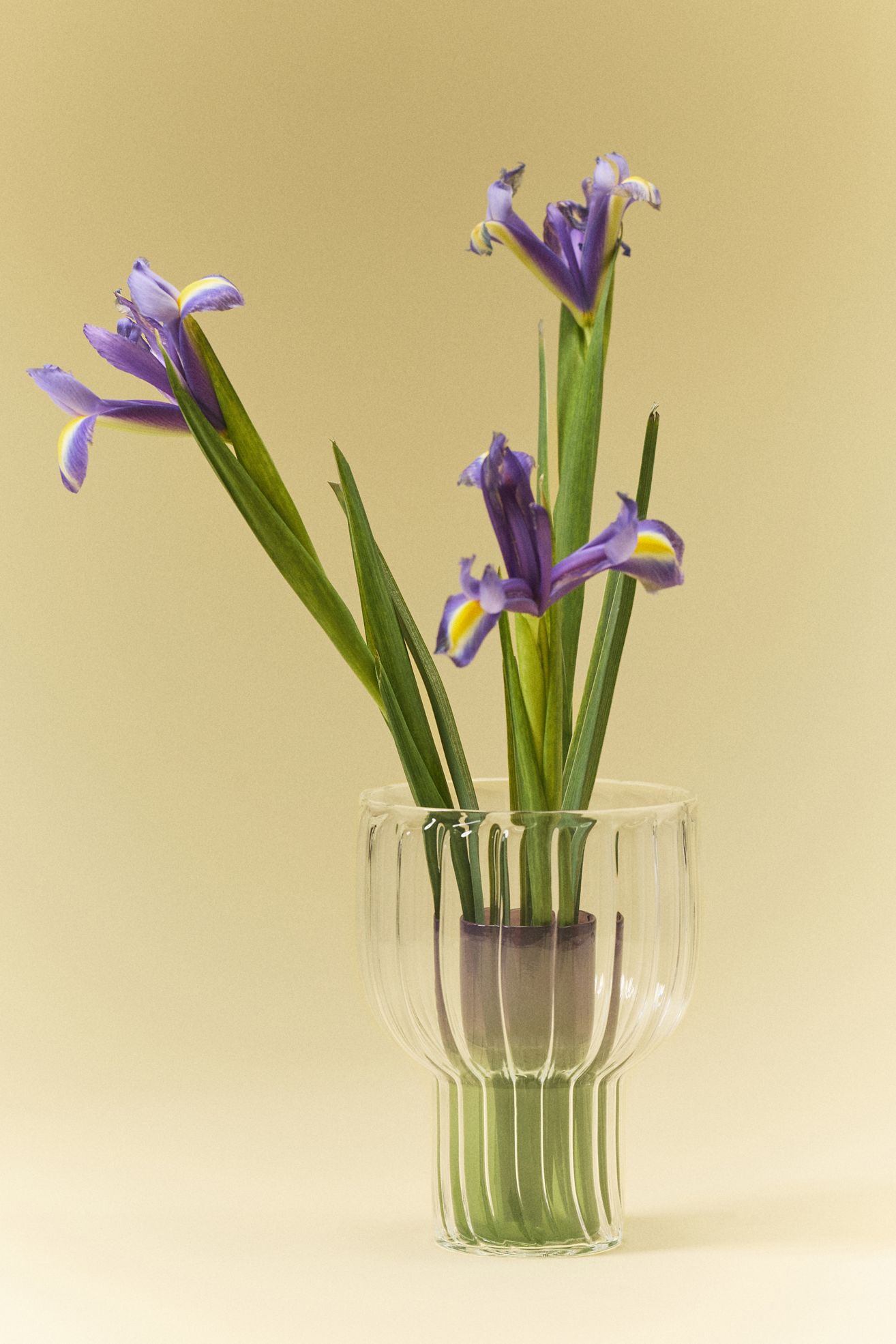 Lucia Neon Glass Vase - Green, Assorted