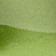 Green - 5 X 7