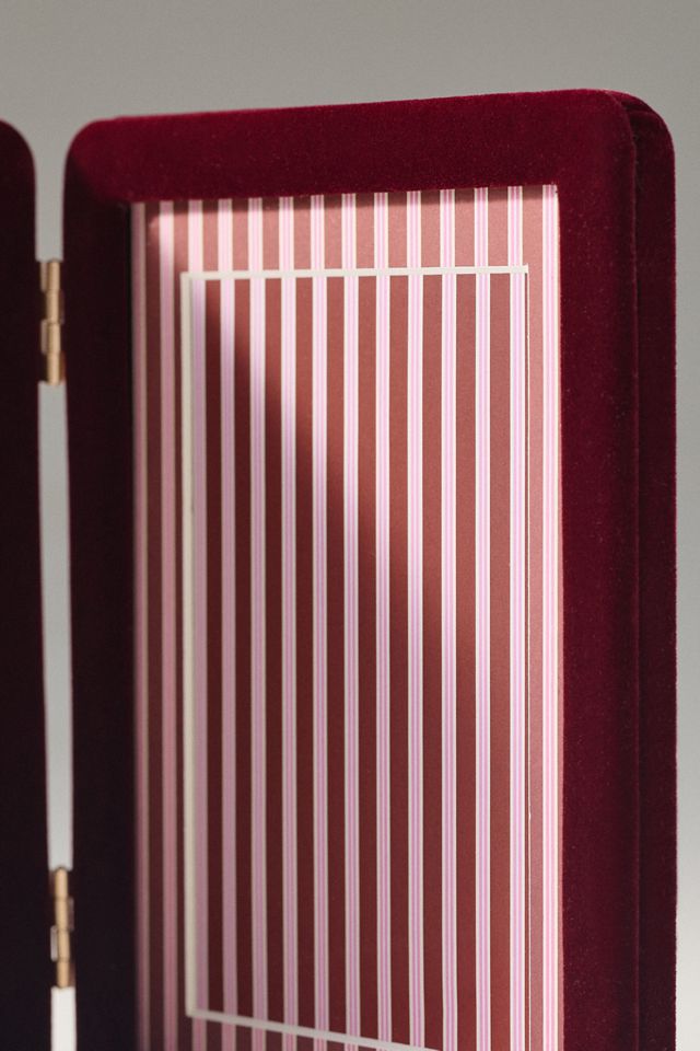 Anthropologie x Papier Velvet Frame #2