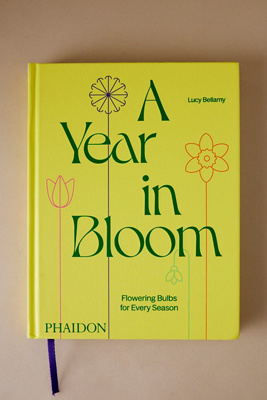 A Year in Bloom: Flowering Bulbs for Every Season Book