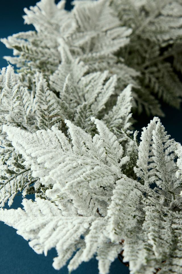 Frost Fern Wreath #1