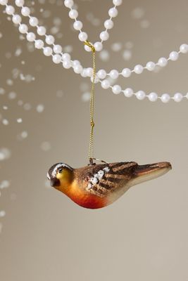 Ornement en verre Robin