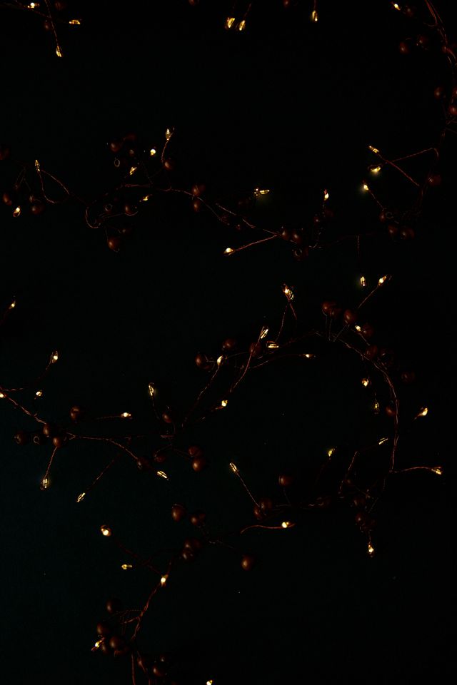Guirlande lumineuse LED Lightstyle London Woodland Berries #1