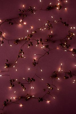 Guirlande lumineuse LED Baies des bois Lightstyle London