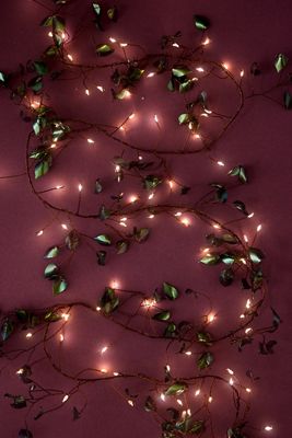 Luci Lightstyle London Olea Cluster Grande