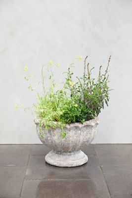 Seashore Urn
