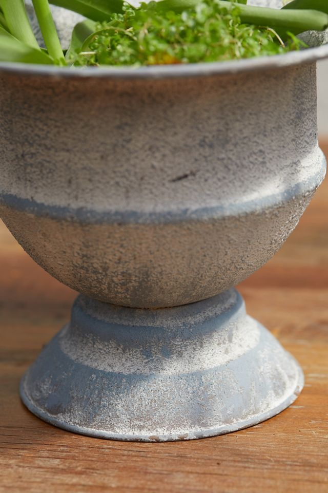 Maidenhair Urn Planter #3