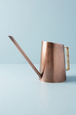 Modern Watering Can