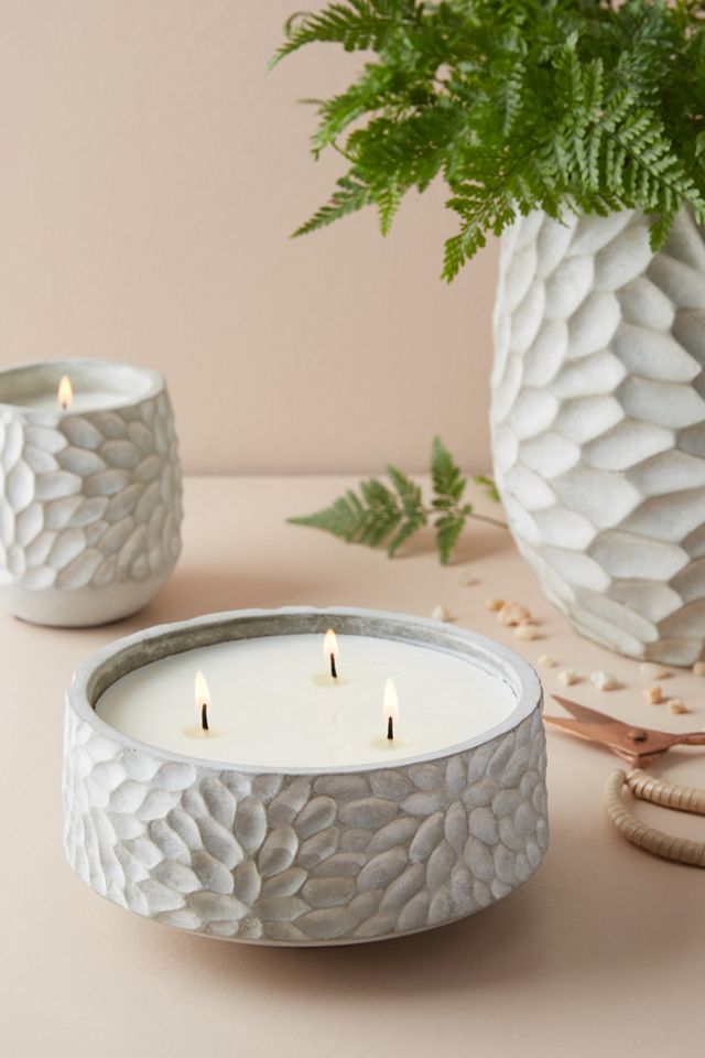 Chrysanthemum Citronella Candle #4