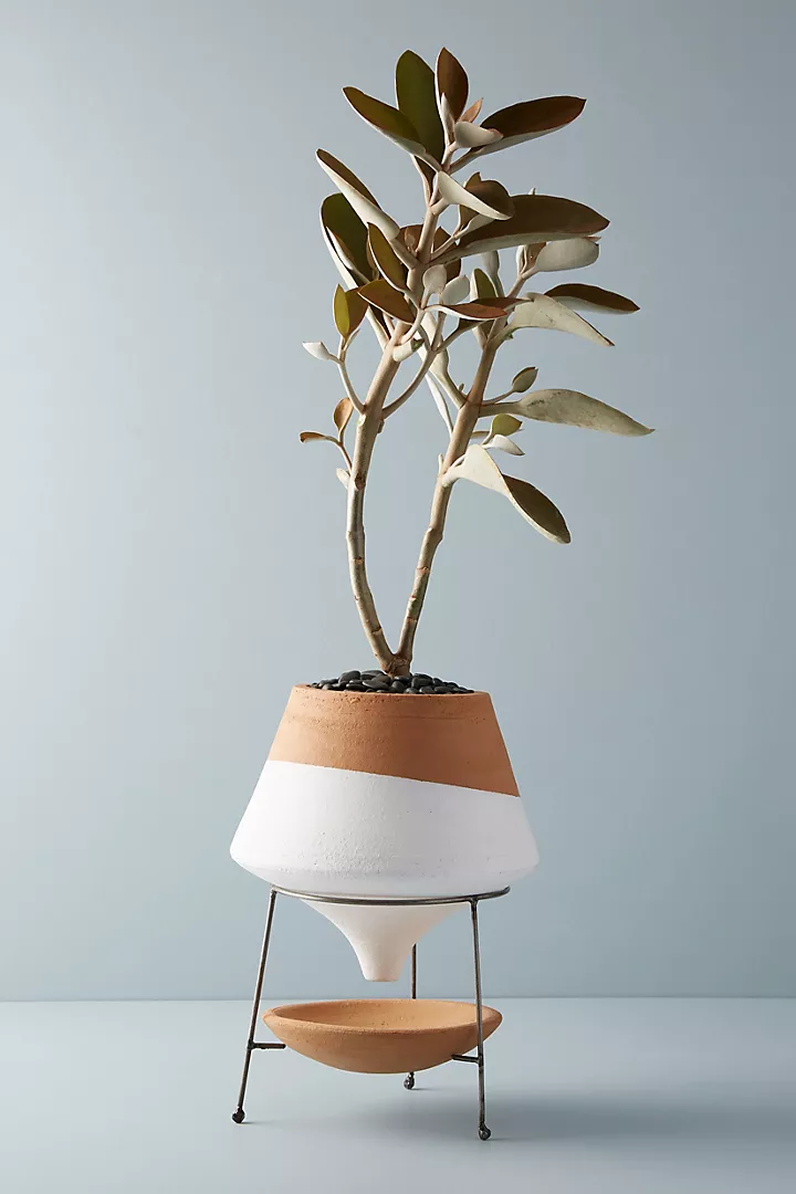anthropologie.com | Clay Pot + Stand