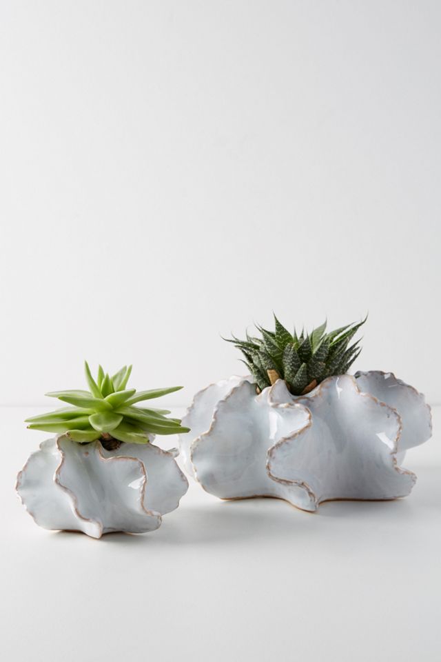 Ceramic Planter Set
