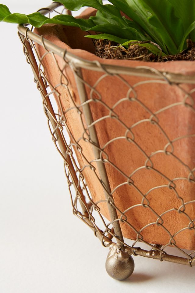 Caged Pot Set #1