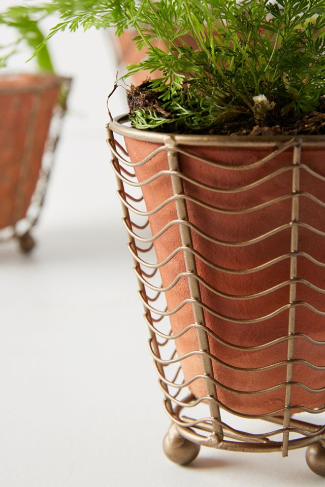 Caged Pot Set #2