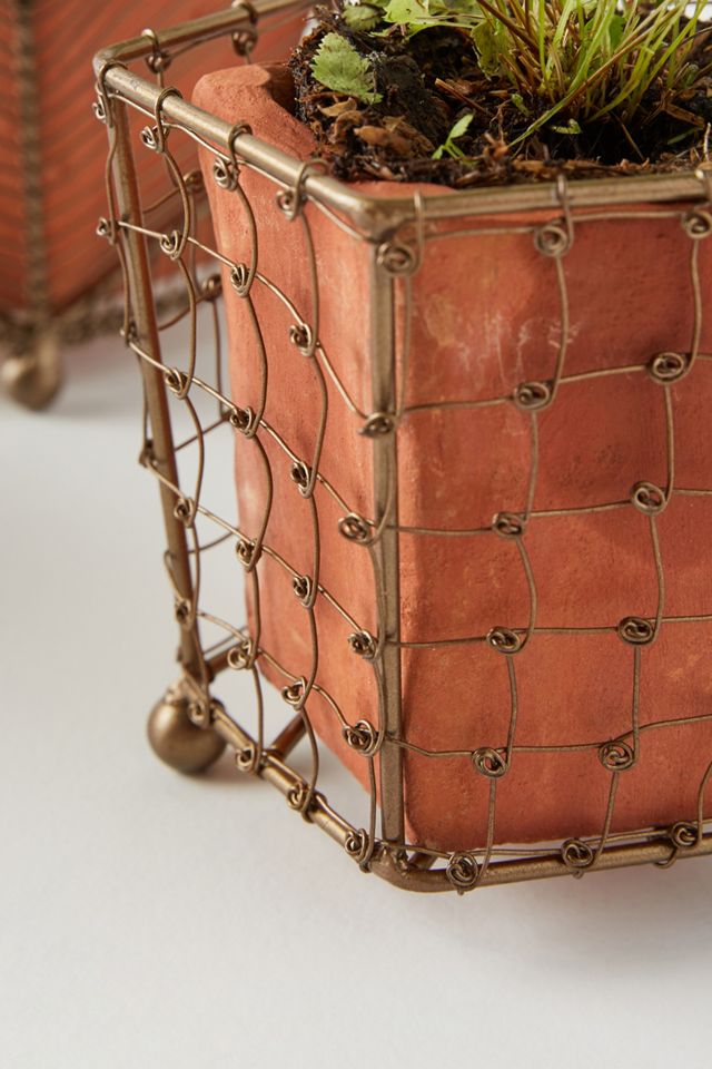 Caged Pot Set #3