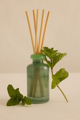 Difusor de Varillas Paddywax Minty Verde