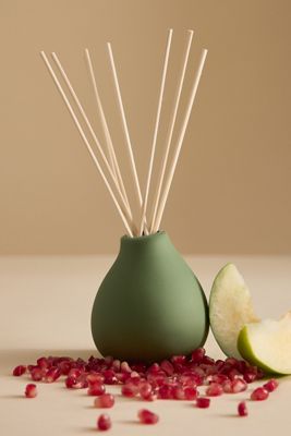 Osmology Japanese Garden Reed Diffuser