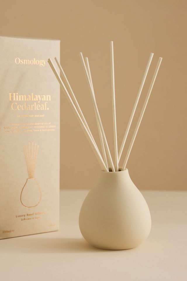 Diffusore a Bastoncini Osmology Foglia di Cedro Himalayano #1