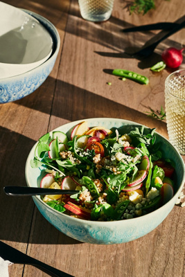 Old Havana Salad Bowl