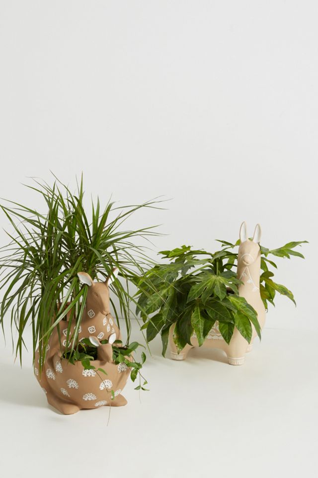 Joey Planter #1