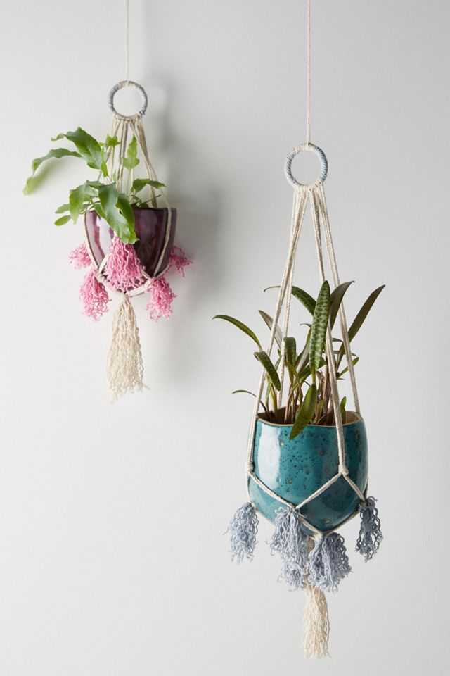 Liliana Hanging Pot #1