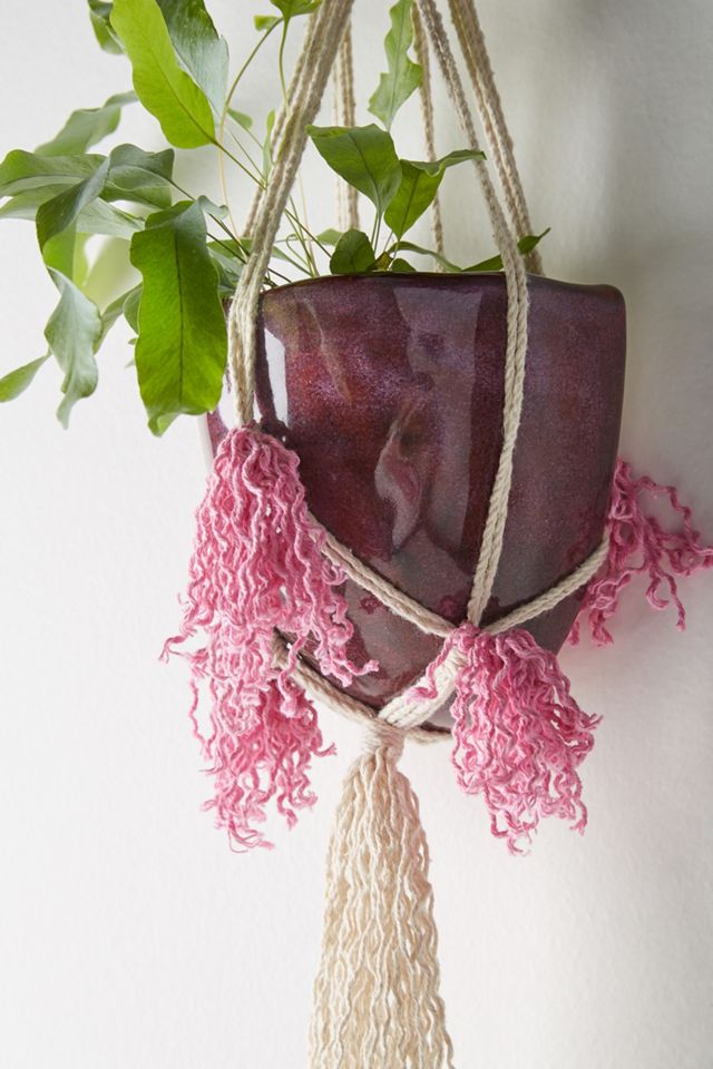 Liliana Hanging Pot #1