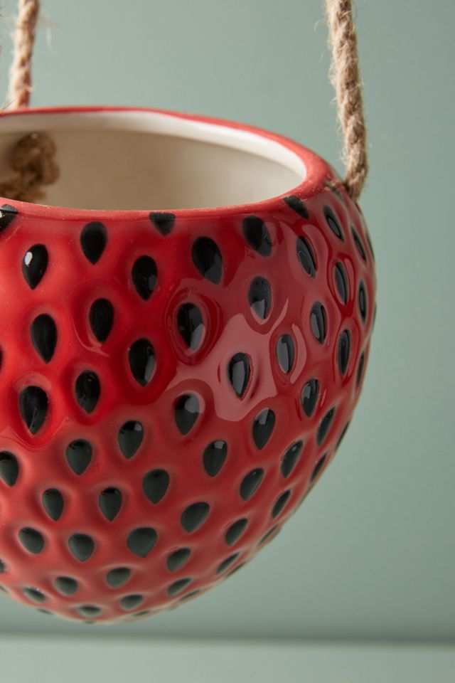 Hanging Fruit Pot #2