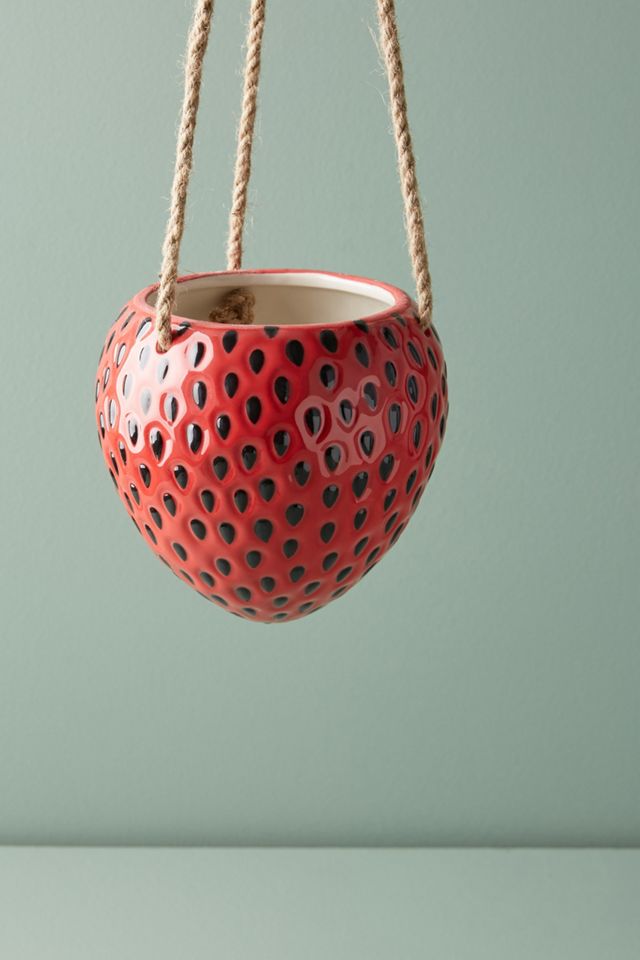 Hanging Fruit Pot #1