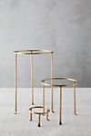 Solid Brass Plant Stand, Tall