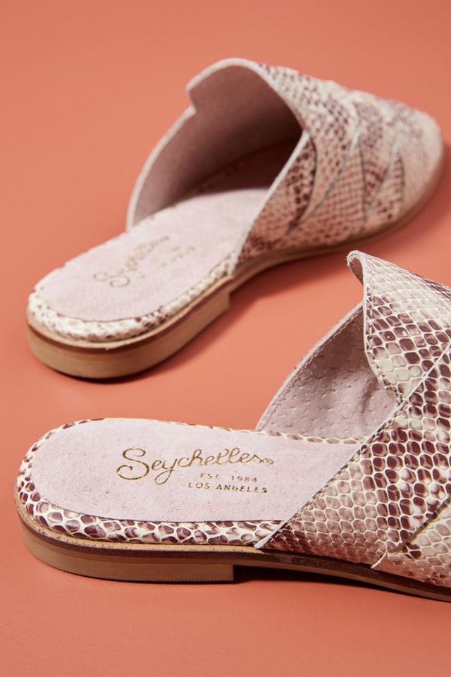 Seychelles Survival Slides #3