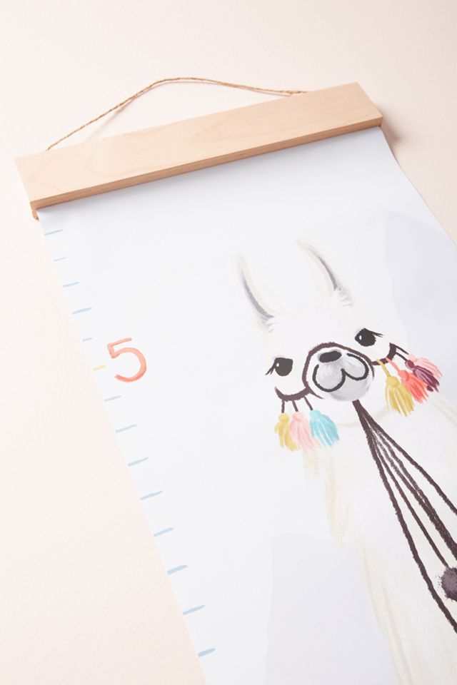 Llama Growth Chart #1