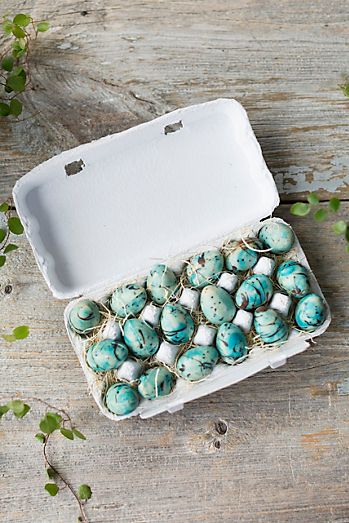 Robin Eggs In Carton