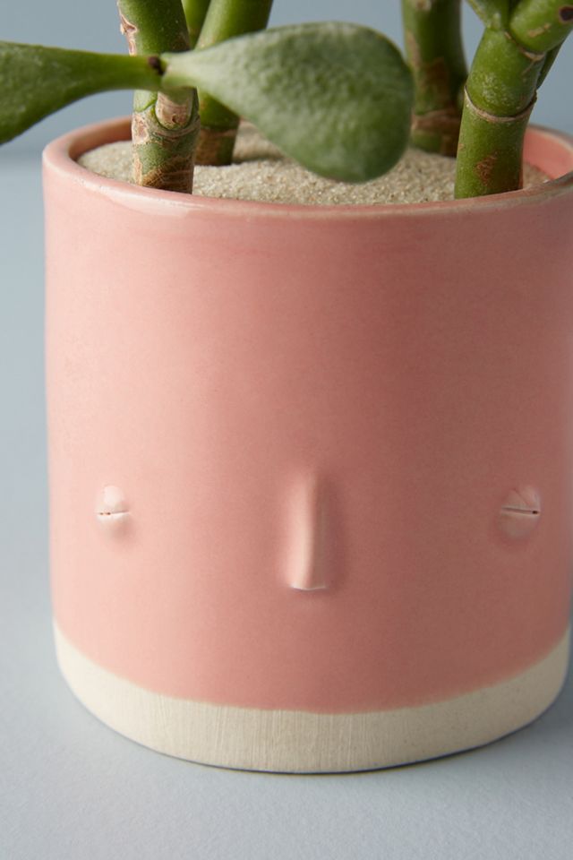 Face Planter #2