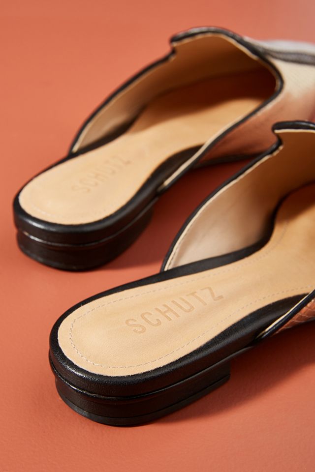 Schutz Karine Slides #3