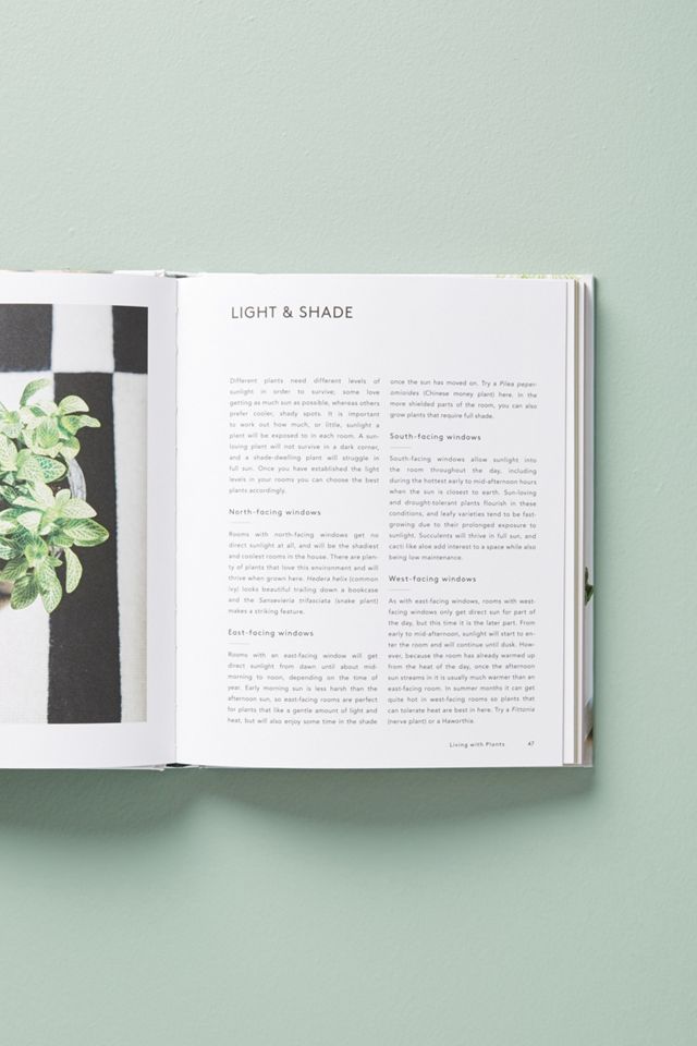 Living With Plants #2