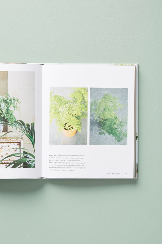 Living With Plants #4