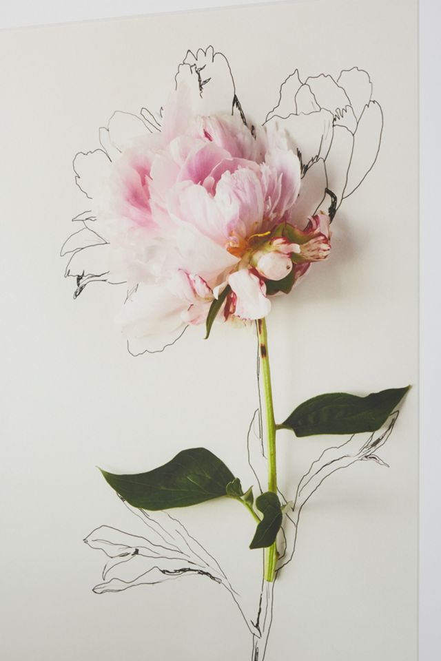 Flora No. 1 Wall Art #2