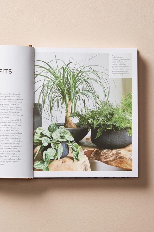 At Home With Plants #1