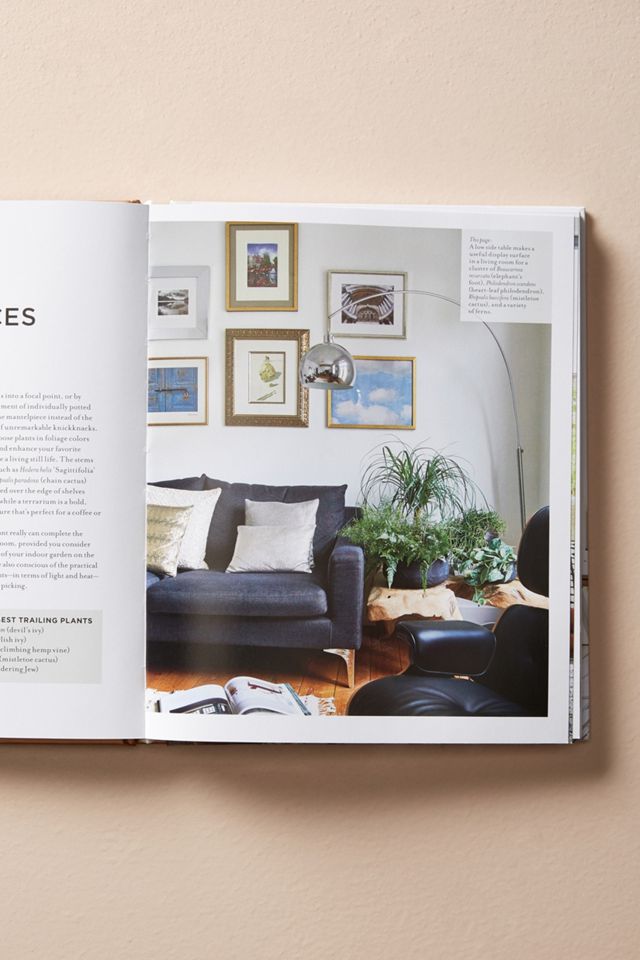 At Home With Plants #2
