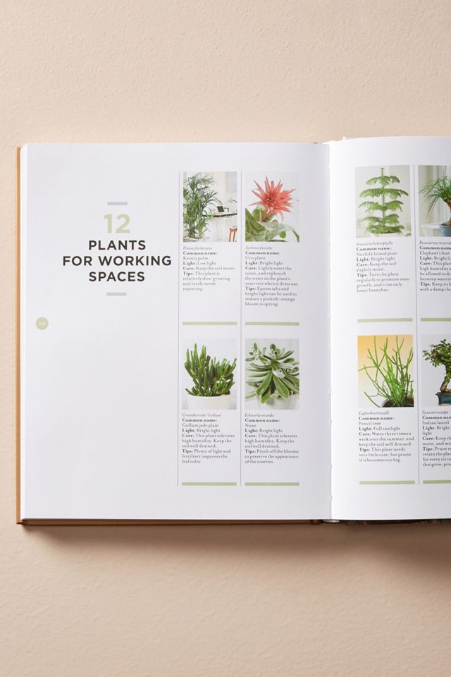 At Home With Plants #3