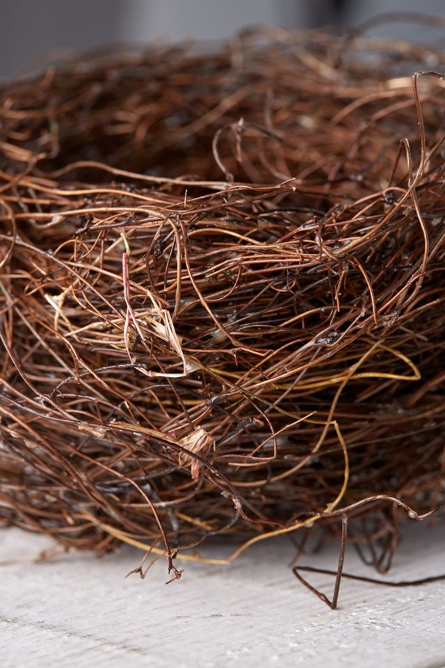 Dried Angel Vine Nest Terrain