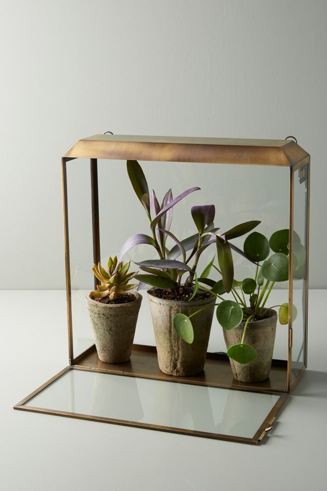 Modern Sprout Growhouse Set #1