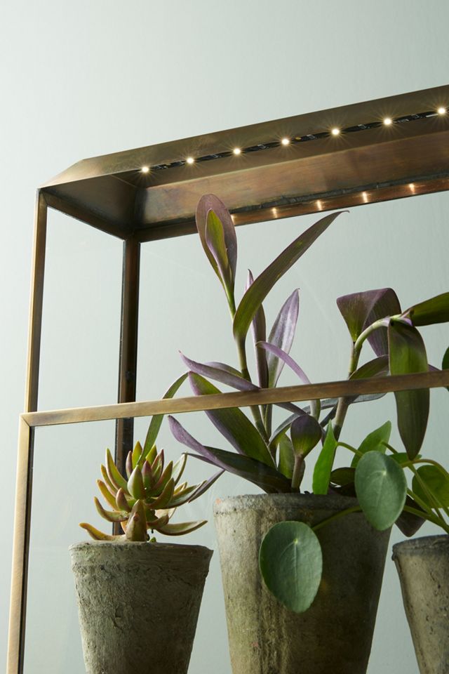 Modern Sprout Growhouse Set #3