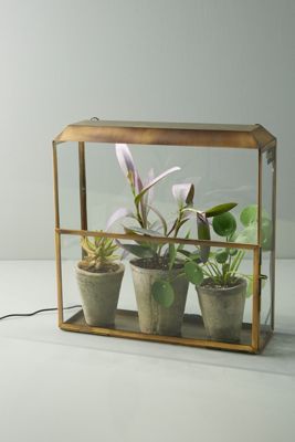 Modern Sprout Growhouse Set