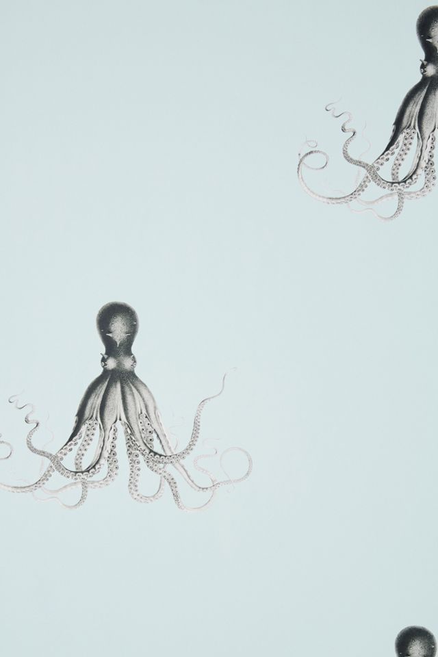 Octopus Wallpaper #1