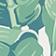 Green Pattern