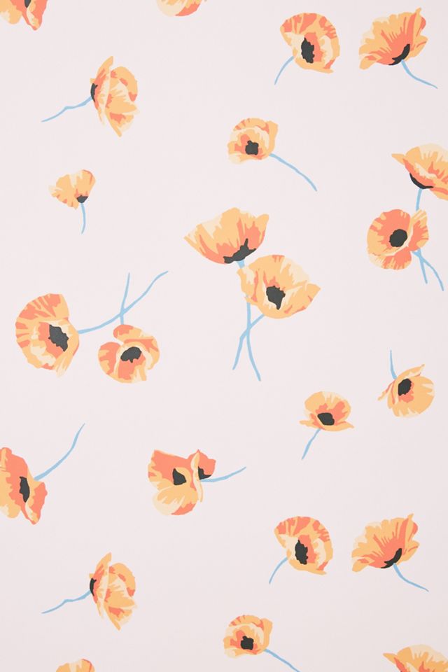 Poppy Wallpaper #1