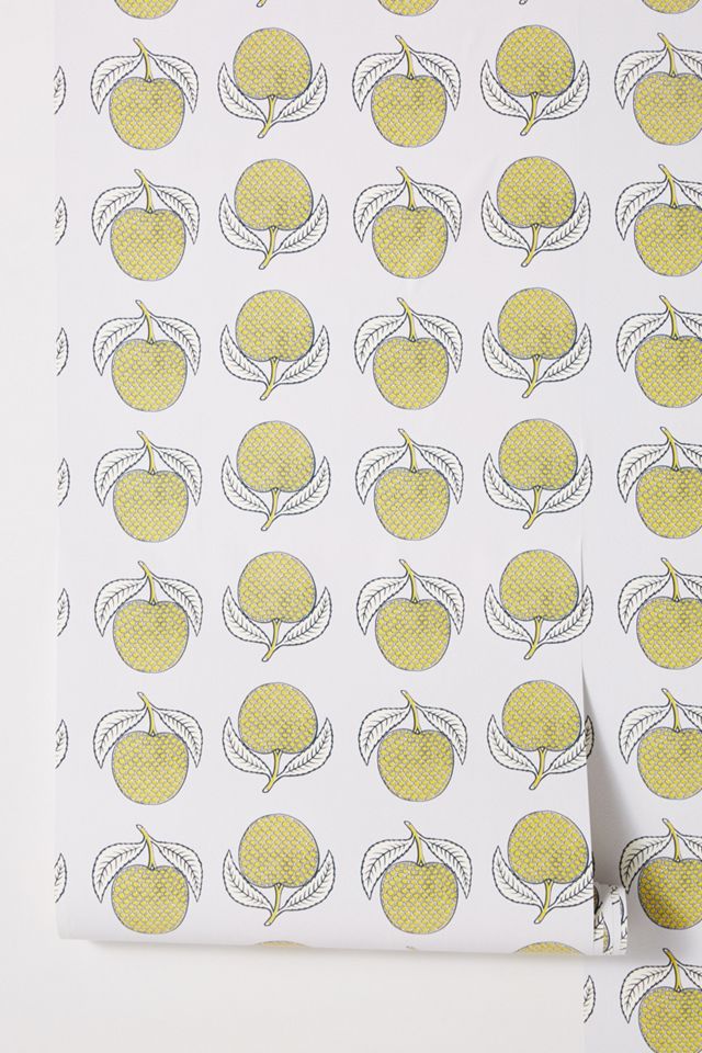 SUNO for Anthropologie Wallpaper #1