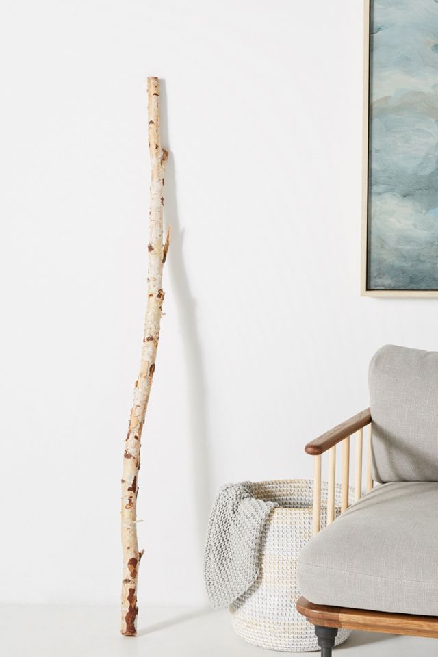 Decorative Birch Branch