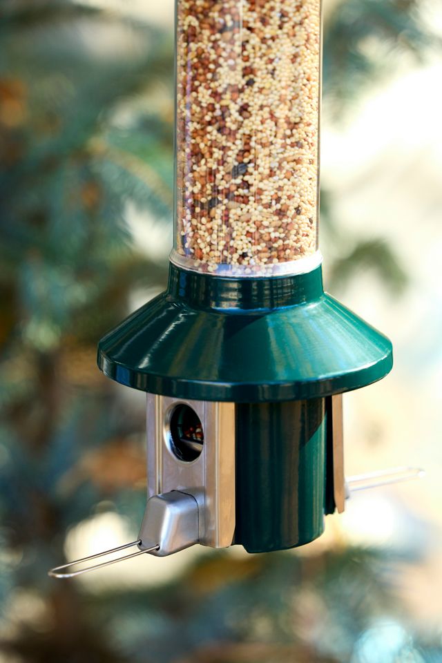 PestOff Squirrel Proof Bird Feeder #1